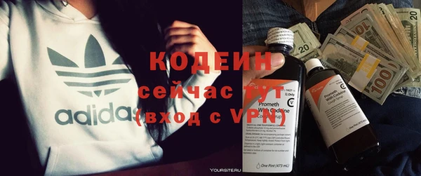 индика Богородск