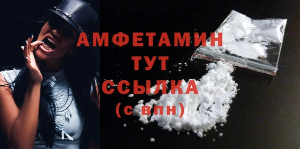 мдпв Богданович