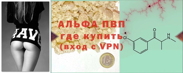индика Богородск