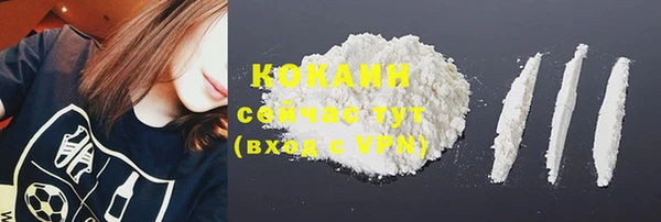прущая мука Богородицк