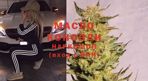 индика Богородск
