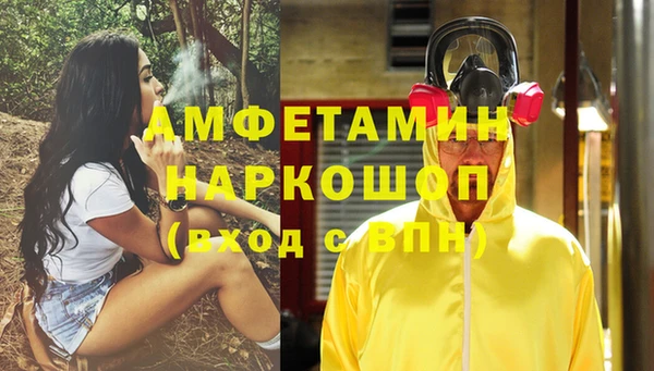 индика Богородск