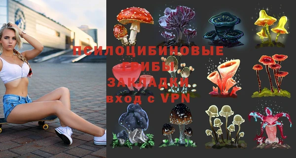 прущая мука Богородицк