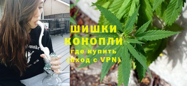 индика Богородск