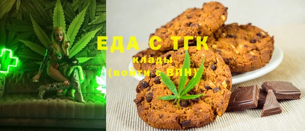 индика Богородск