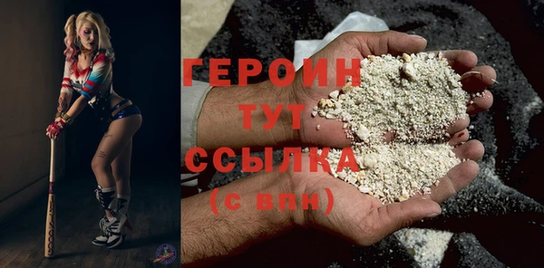гидра Верхний Тагил