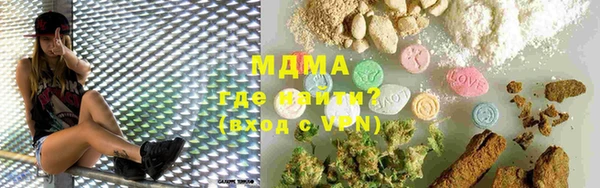 индика Богородск