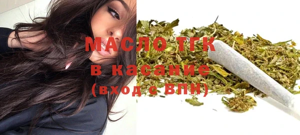 индика Богородск