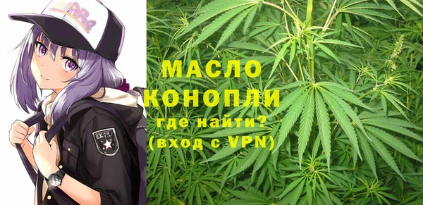 гидра Верхний Тагил
