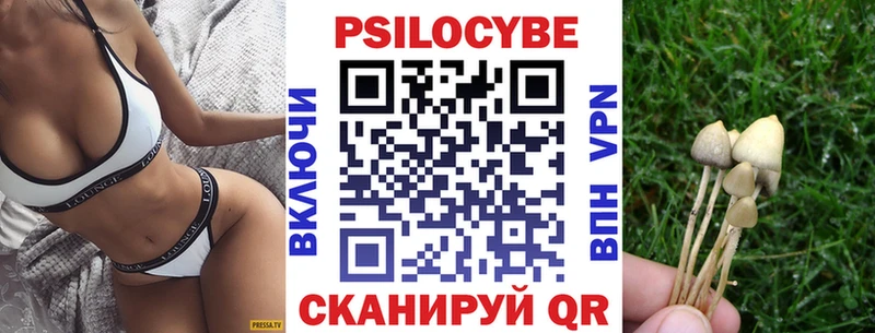 Псилоцибиновые грибы Cubensis  Игарка 